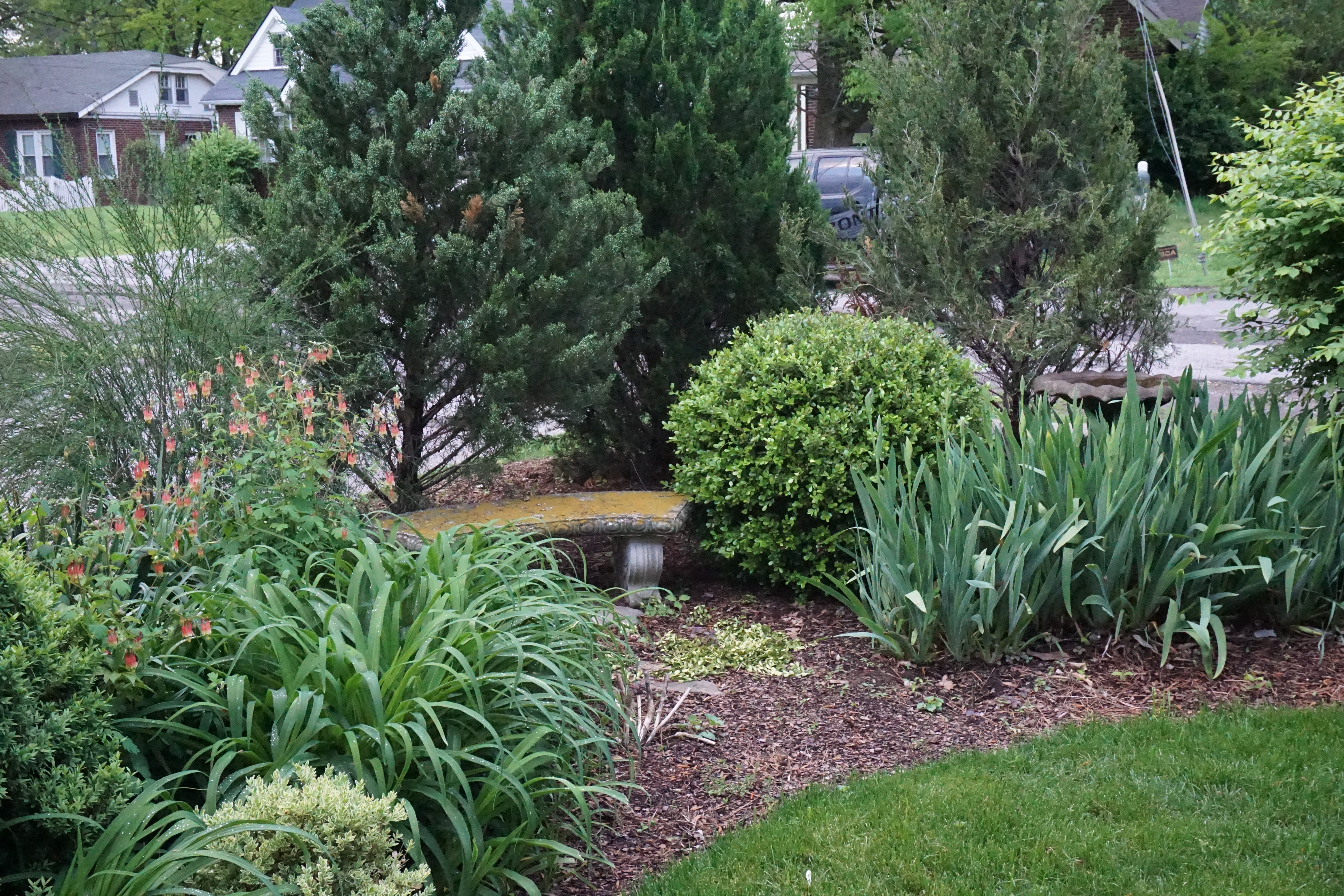 Gardening Tips Spring in Nashville bynum design blog